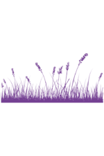 Meadow Grass Silhouette - free svg file for members