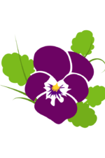 Pansy Flower Bloom - free svg file for members