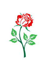 Rose Flower - free svg file for members