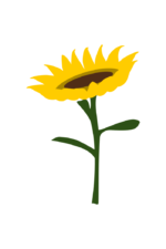 Sunflower Clipart Free SVG File