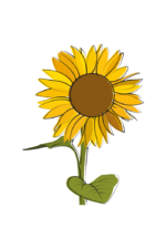 Sunflower Free SVG File