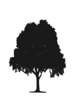 Tree Silhouette Free SVG File