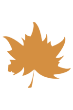 Maple Leaf Silhouette Free SVG File