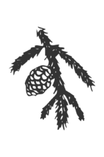 Spruce Twig With Cone Free SVG File