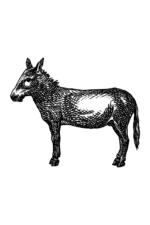 Donkey Hand Drawn Free SVG File