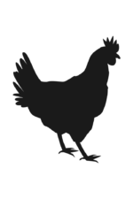 Hen Black and White Silhouette Free SVG File