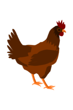 Hen Clipart Free SVG File