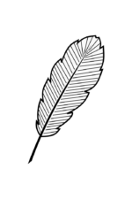 Feather Outline Black and White Clipart Free SVG File