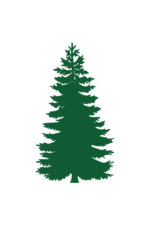 Pine Tree Silhouette - free svg file for members