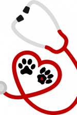 veterinarian heart shape stethoscope, paw print, pet free svg file