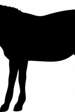 zebra silhouette, animal free svg file