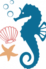 beach bundle, seahorse, star fish, sea shell - free svg file for members