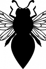 bee, insect free svg file