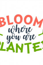 Bloom Where You Are Planted, Spring Free Svg File