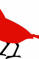 cardinal bird, animal free svg file