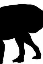 dino silhouette, dinosaur parasaurolophus free svg file
