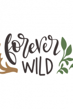 Forever Wild, Leaf Free Svg File