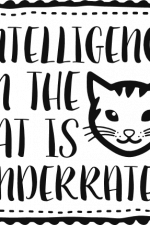 intelligence in the cat is underrated in frame, cat lover free svg file