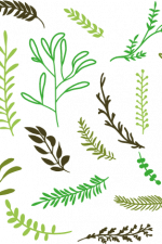 nature bundle, leaves free svg file