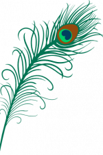 peacock feather, decorative free svg file clipart image