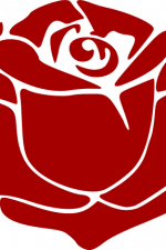 Rose Bloom, Flowers - free svg file for members