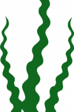 Seaweed Silhouette, Under Water Plants, Ocean Free Svg File
