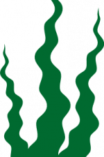 Seaweed Silhouette, Under Water Plants, Ocean Free Svg File
