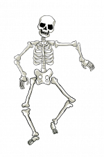 Skeleton, Halloween Free Svg File