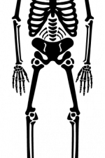 skeleton without head, halloween free svg file