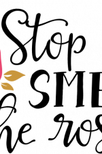 stop and smell the roses, funny wine sayings free svg file