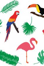 tropical birds and leaves bundle, toucan, flamingo, parrot free svg file