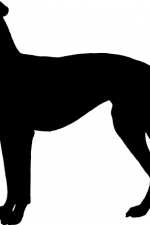 whippet dog silhouette, pet free svg file image