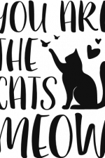 you are the cats meow, cat lover, pet free svg file