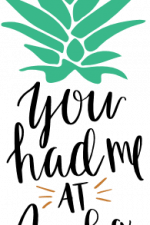 you had me at aloha, pineapple top, summer free svg file
