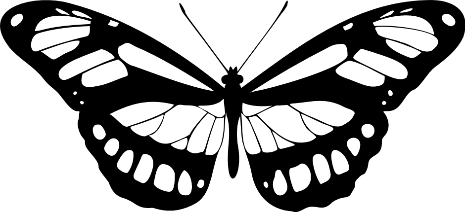 buttefly 2_940-430-min