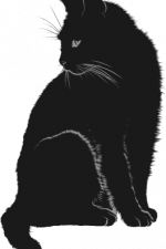 black sitting cat clipart image - free svg file for members