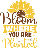 Bloom where you are planted, gardening positive quotes - free svg file for members