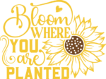 Bloom where you are planted, sunflower outline - free svg file for members
