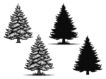 Vector clipart image, Spruce trees svg bundle, Winter tree with snow - free svg file for members