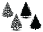 Decorative Winter spruce tree with snow svg bundle, trees silhouette - free svg file for members