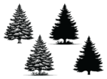 Winter snowy tree svg bundle, spruce tree silhouette - free svg file for members