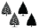 Christmas decor, Winter snowy tree svg bundle, spruce tree silhouette - free svg file for members