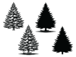 Winter snowy tree clipart image, svg bundle, spruce trees silhouette - free svg file for members