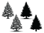 Christmas decor, spruce trees, Winter snowy tree clipart image svg bundle - free svg file for members