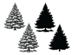 Winter spruce tree with snow, vector image, silhouette svg bundle - free svg file for members