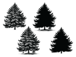 Christmas decor, Winter tree with snow, vector image svg bundle, spruce tree silhouette - free svg file for members