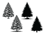 Winter snowy tree svg bundle, Vector design, spruce trees silhouette - free svg file for members