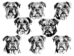 9 Bulldog face svg bundle free svg file for members