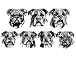 7 Bulldog head svg bundle free svg file for members, decorative vector image
