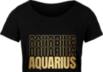 Aquarius, echo stacked text free svg file for members, golden png for sublimation, birthday tshirt design